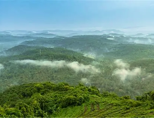 Coastal promenade and palm-lined shore near Kozhikode
