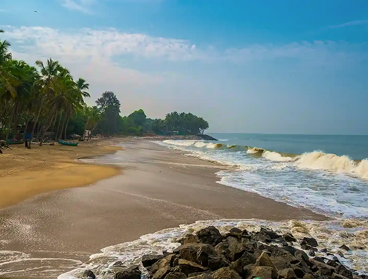 Sandy beach backed by palms along the Malabar coast